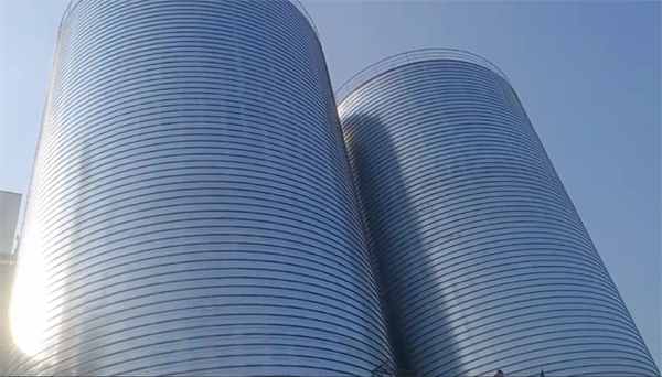 东山2座混凝土高架卷板仓